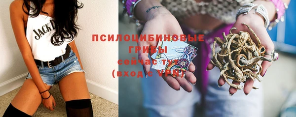 mix Осинники