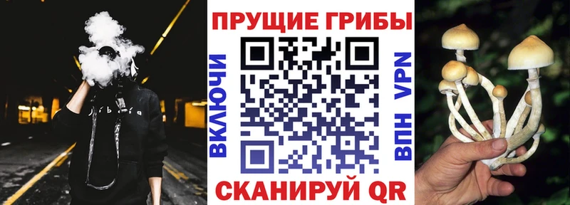 Галлюциногенные грибы прущие грибы  Слюдянка 